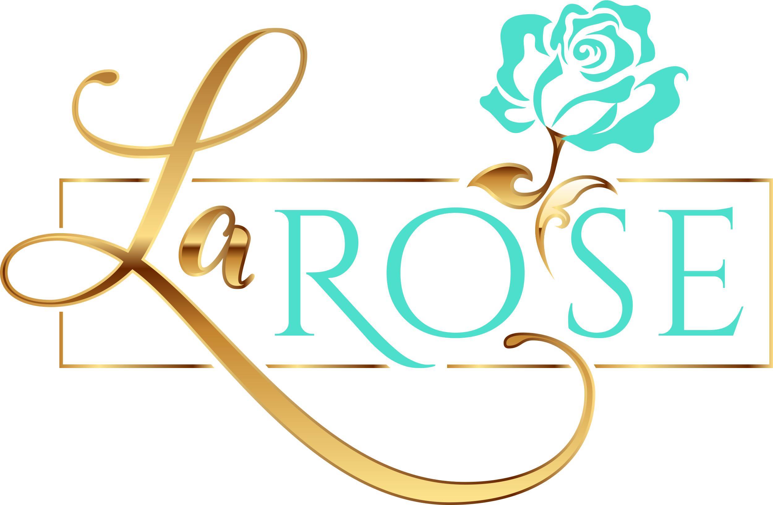 Book With LaRose Hair By LaRose book-with-larose-hair-by-larose